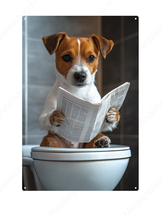 Jack Russel op de WC met een krant