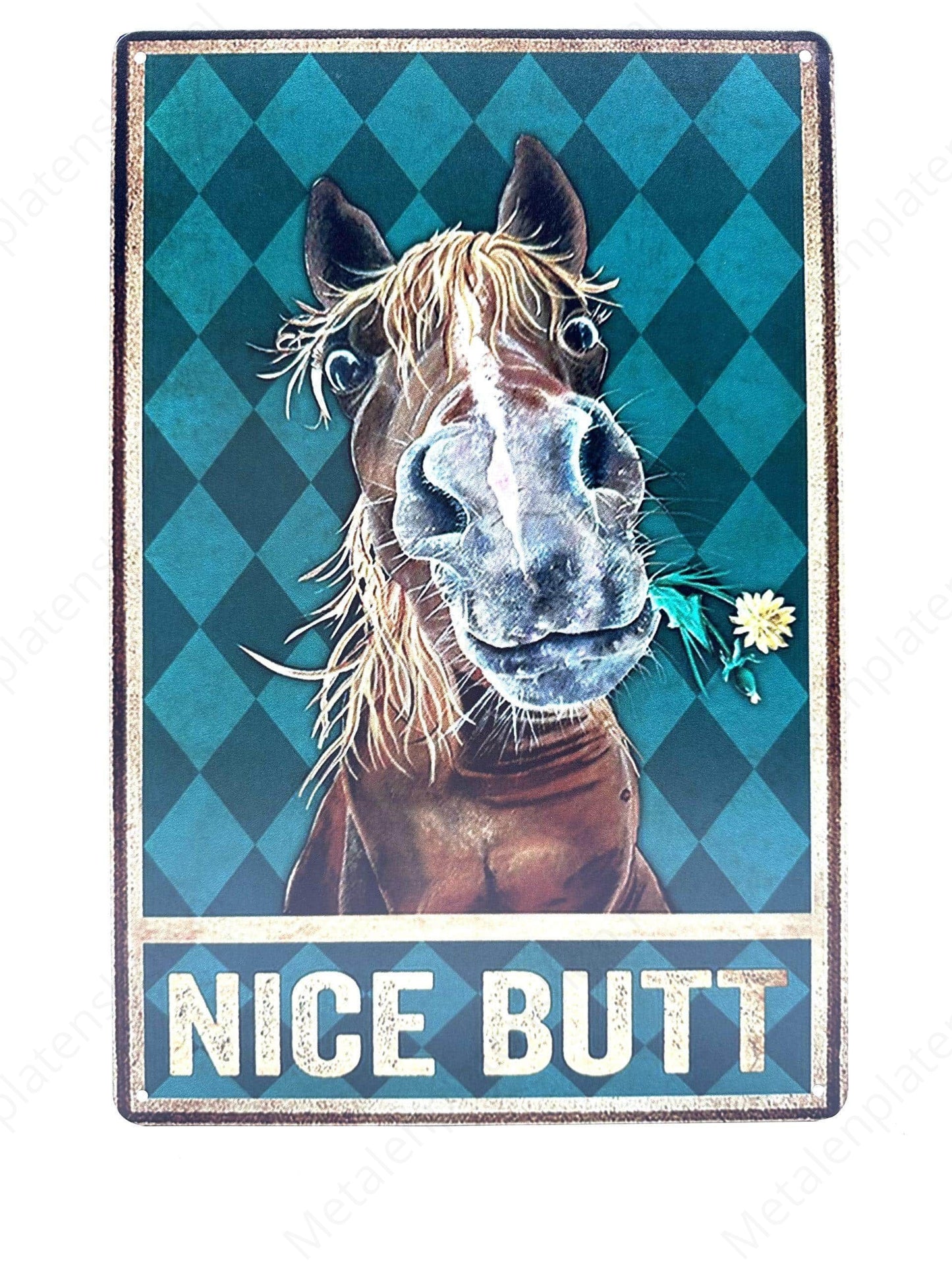 Nice Butt - Metal Wall Sign