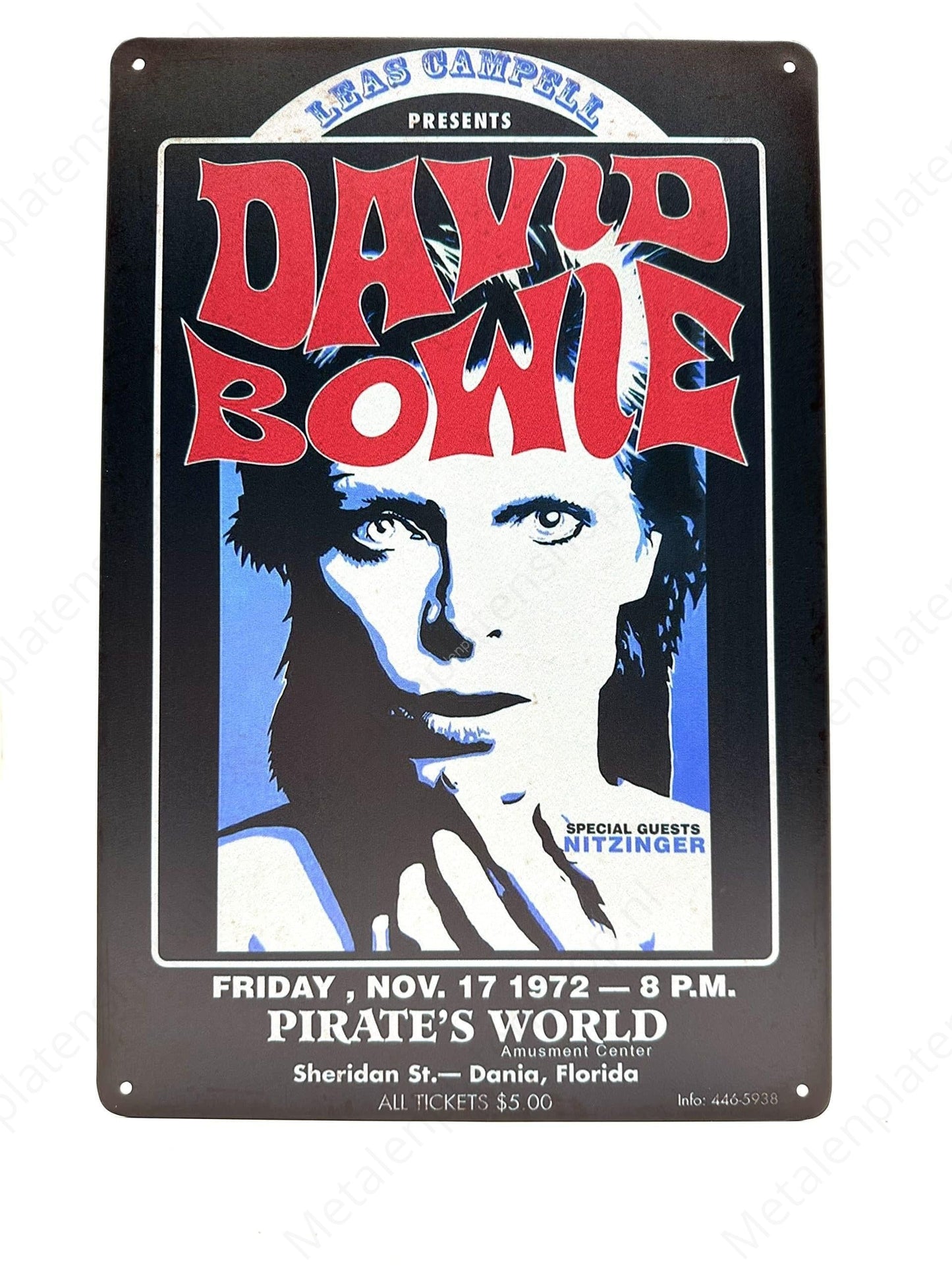 David Bowie - Pirate's World
