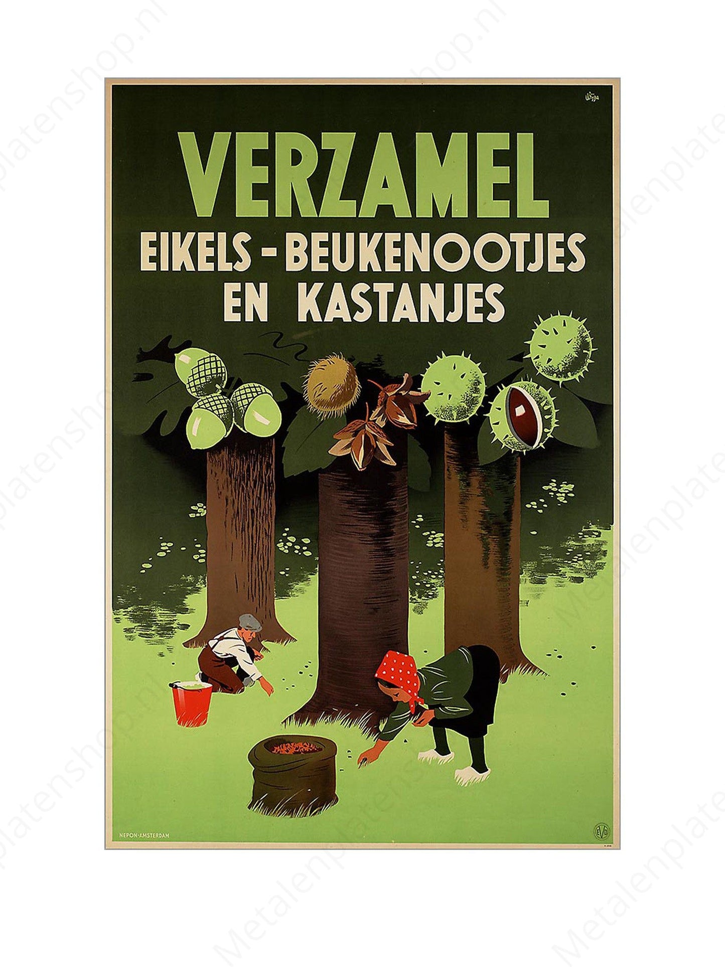 Collect acorns - beechnuts and chestnuts - Nostalgic