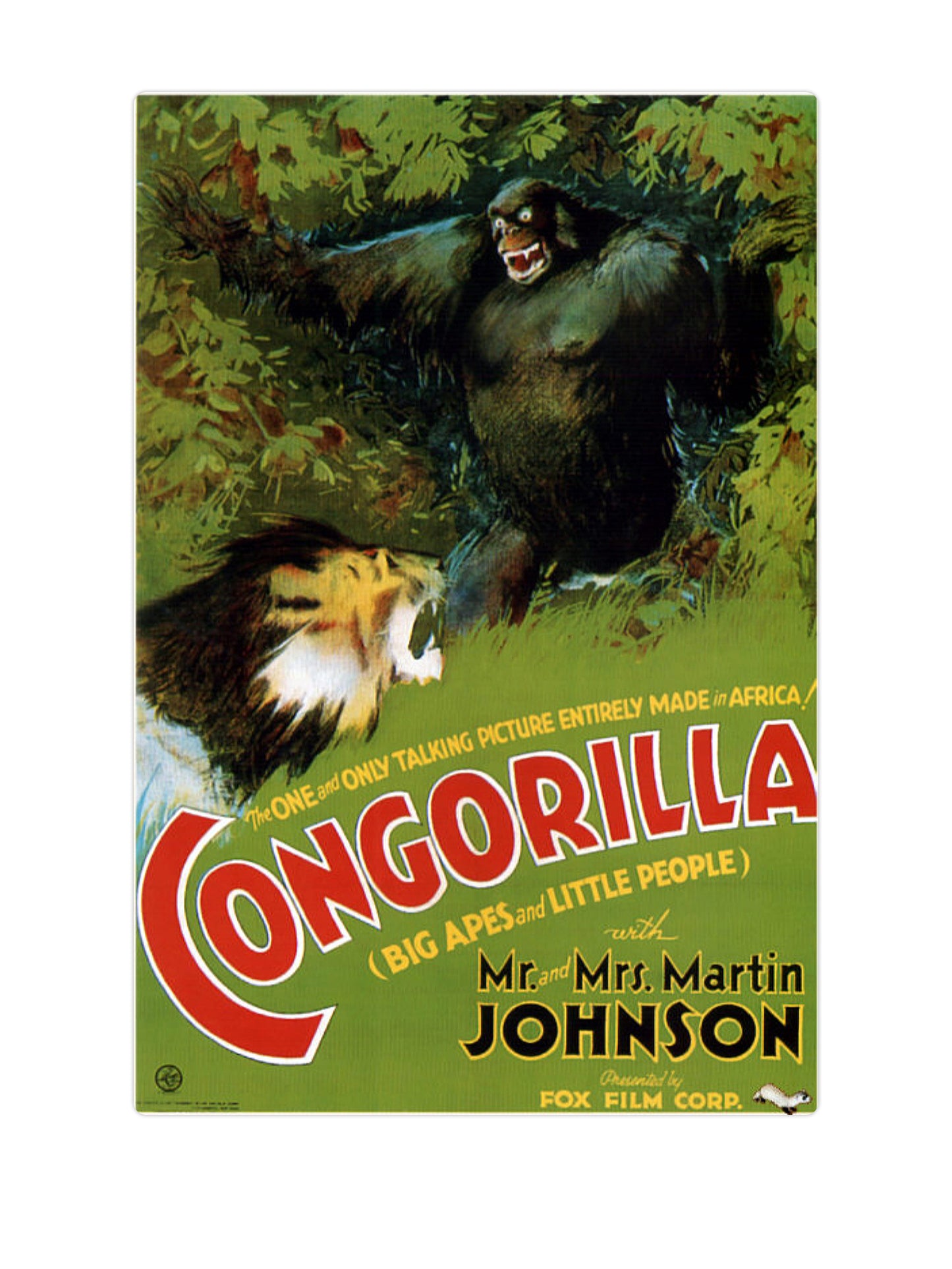 Congorilla