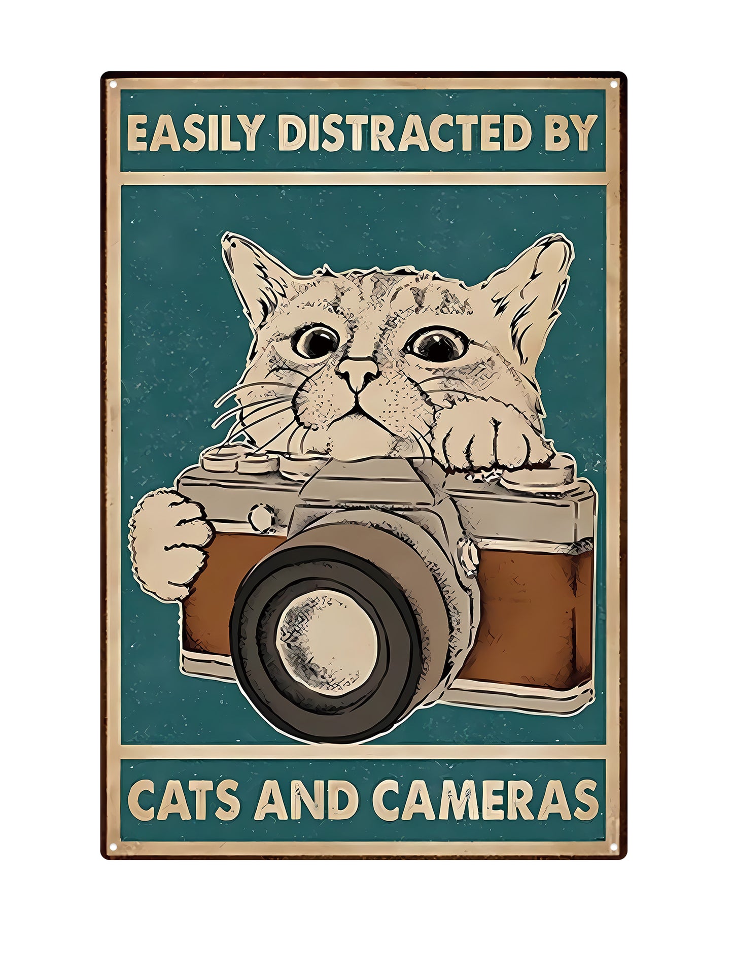 Easily Distracted By Cats and Cameras
