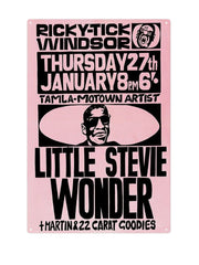"Little Stevie Wonder"