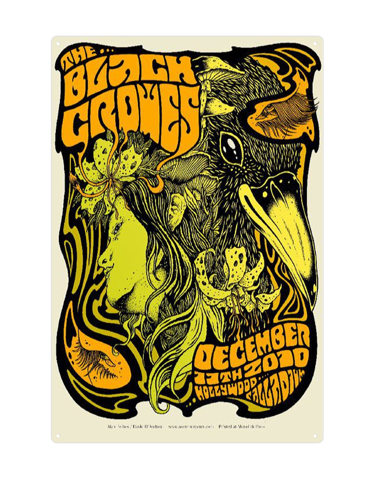 "The Black Crowes"
