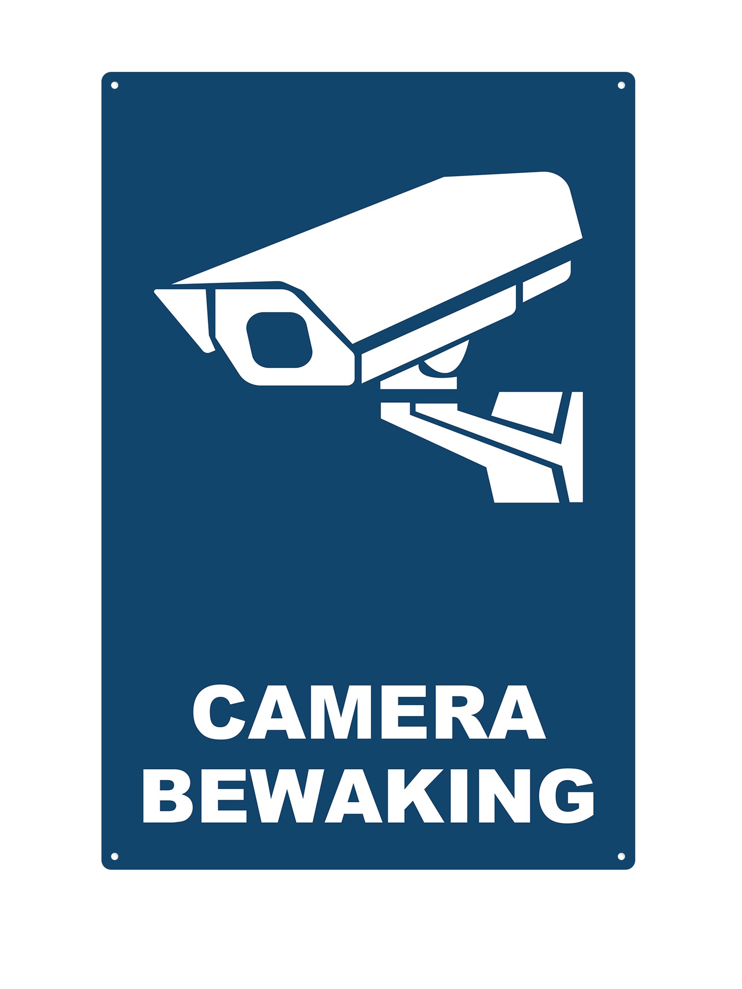 Camera Bewaking #1