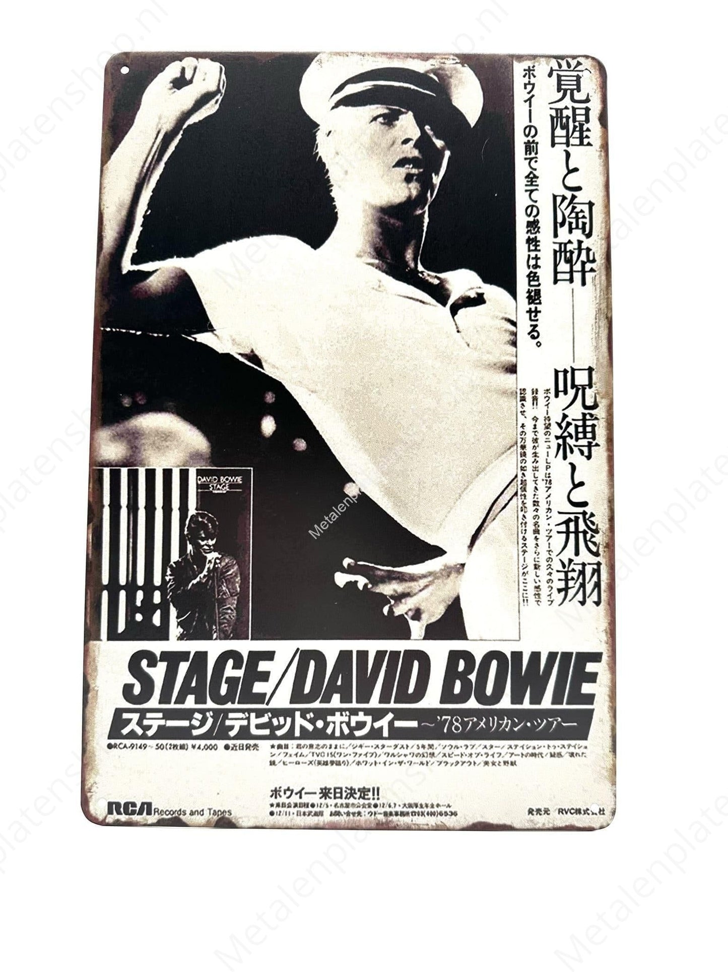 David Bowie - Metal Wall Sign