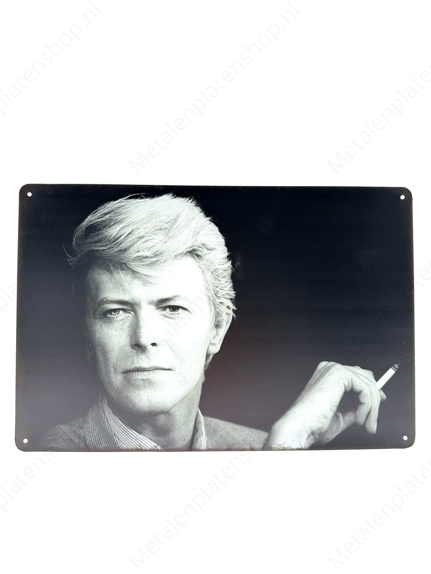 Metal Wall Sign - David Bowie - Metal Wall Sign