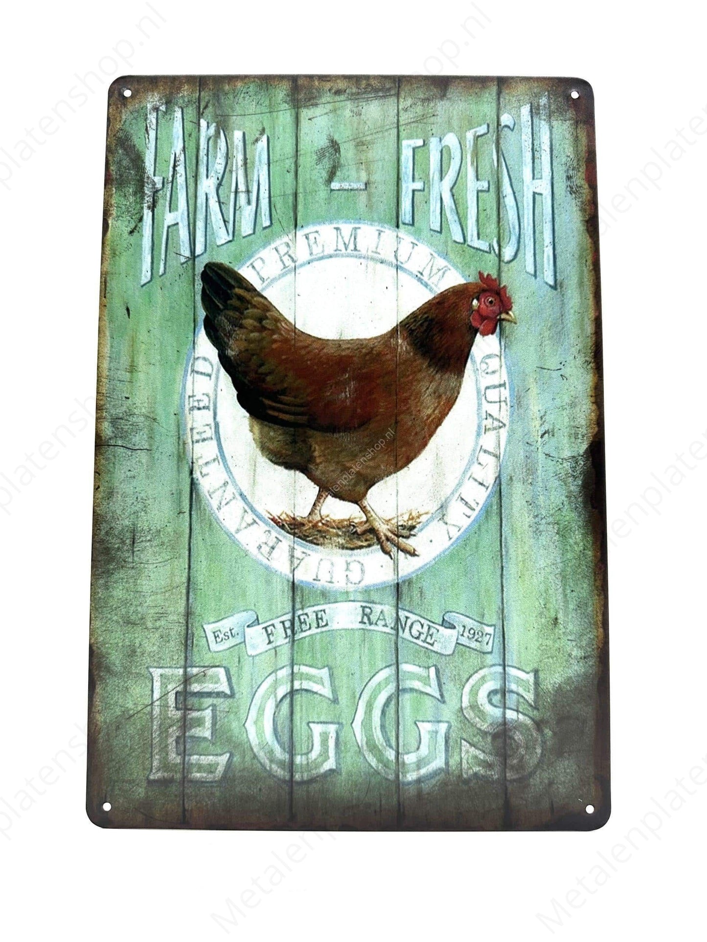 Farm - Fresh - Eggs