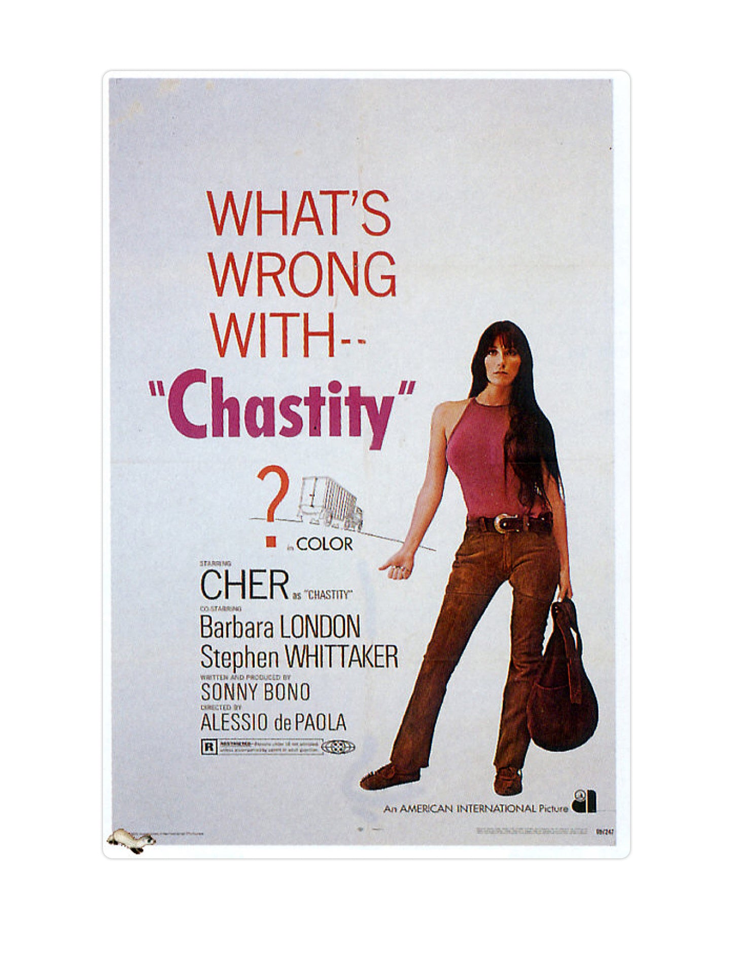 What's Wrong With Chasity?