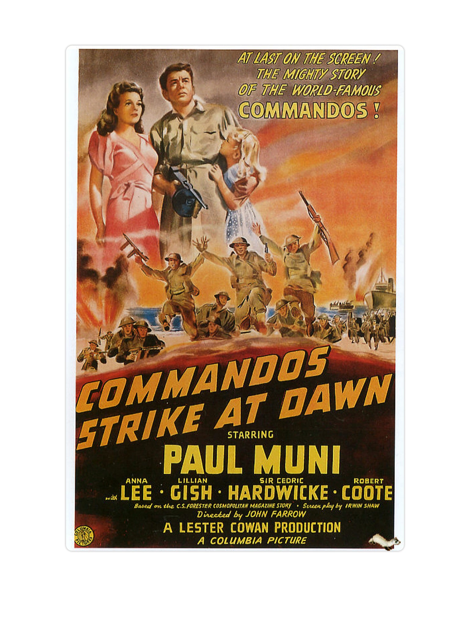 Commandos strike at dawn